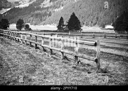 Balade autour du Lac de Sils - Vallée de la Haute-engadine - Suisse Banque D'Images