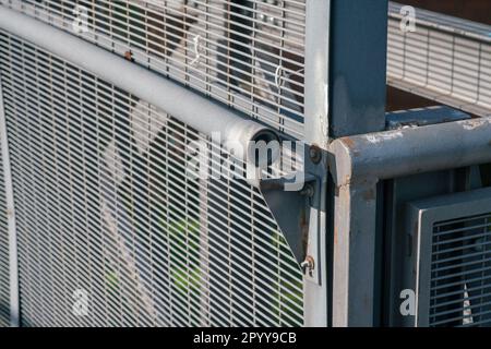 détail de la main courante de la passerelle avec des éléments de points de rouille et de peinture sautée. Avec grille anti-chute. Banque D'Images