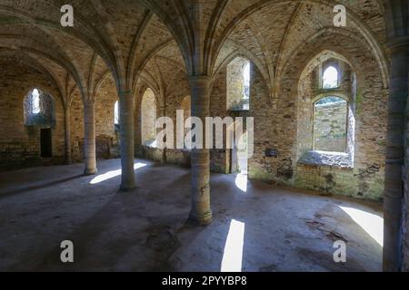 La salle commune des novices sous l'abbaye de bataille, une abbaye bénédictine partiellement détruite à Battle, dans l'est du Sussex, en Angleterre Banque D'Images