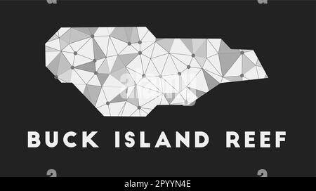 Buck Island Reef - carte du réseau de communication. Buck Island Reef, design géométrique tendance sur fond sombre. Technologie, Internet, réseau, télécommunic Illustration de Vecteur