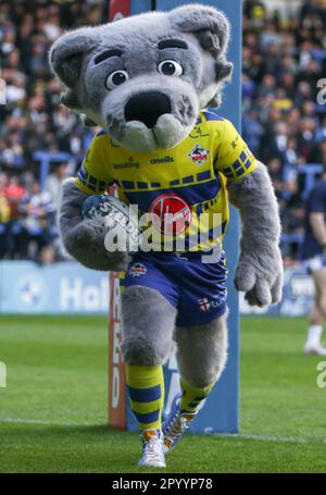 Warrington, Cheshire, Angleterre 5th mai 2023. La mascotte de Warrington montrant leur troisième kit, pendant la Warrington Wolves V Wakefield Trinity , au stade Halliwell Jones, dans la Super League de Betfred Banque D'Images