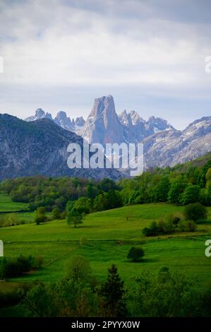 Vue sur Naranjo de Bulnes ou PICU Urriellu, pic calcaire datant de l'ère paléozoïque, situé dans la région centrale de Macizo de Picos de Europa, montagne r Banque D'Images