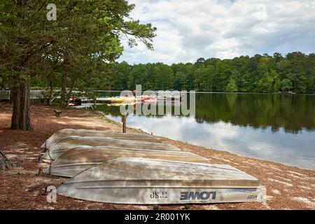 Les barques sont stockées à l'envers sur un lac boisé, tandis que les bateaux à pédales se trouvent près d'un quai au parc régional de Trap Pond, dans le Delaware, aux États-Unis. Banque D'Images