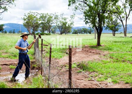 Agriculteur australien travaillant sur des biens en train de réparer une clôture endommagée par les eaux d'inondation Banque D'Images