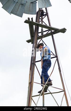 Agriculteur australien grimpant au moulin à vent pour faire des réparations Banque D'Images