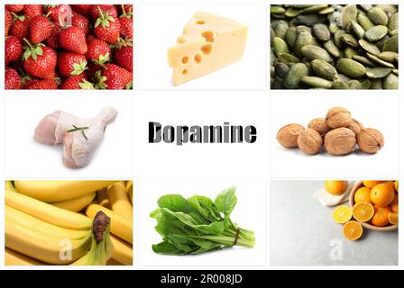 Différents aliments riches en dopamine qui peuvent vous aider à sentir le bonheur. Différents produits savoureux sur fond blanc Banque D'Images