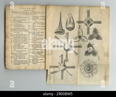 Vieux livre d'anatomie. Un ancien livre d'anatomie avec ses pages affichées. Banque D'Images