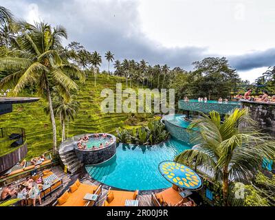 Vue sur les terrasses de riz et la piscine depuis la crétya, Ubud, Bali, Indonésie Banque D'Images