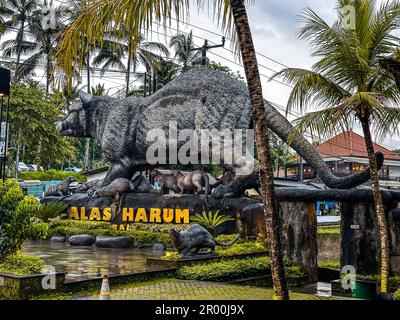 Vue sur les terrasses de riz et la piscine depuis la crétya, Ubud, Bali, Indonésie Banque D'Images