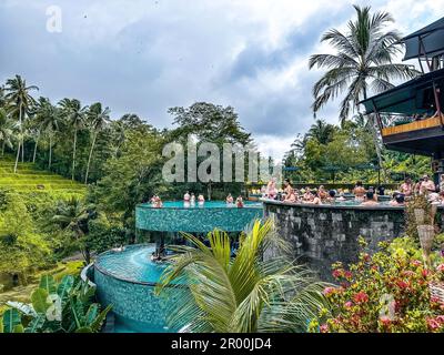 Vue sur les terrasses de riz et la piscine depuis la crétya, Ubud, Bali, Indonésie Banque D'Images