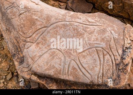 petroglyphe, gisement rocheux Aït Ouazik, Néolithique tardif, Maroc, Afrique Banque D'Images