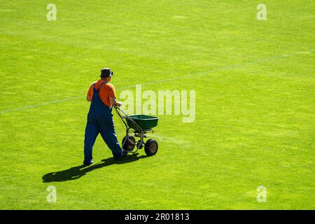 Groudsman diffuse de l'engrais pour l'herbe sur un terrain de football Banque D'Images