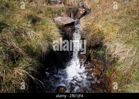 ruisseau tourbé coupant à travers la tourbière de montagne pour exposer les roches colorées de tourbe sous la surface près de la ligue de la slive comté de donegal république d'irlande Banque D'Images