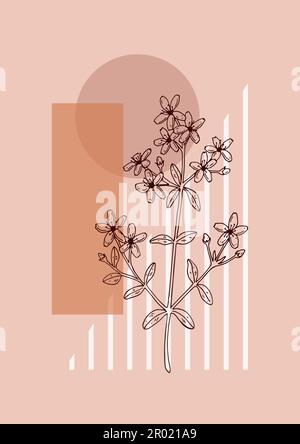 Affiche moderne à motif floral et esthétique. Illustration vectorielle dessinée à la main. Esquisse de fleurs sauvages Illustration de Vecteur