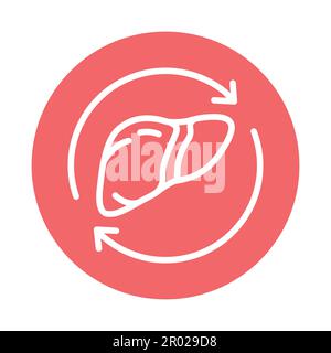 Icône de la ligne de couleur de greffe du foie.Elément vectoriel isolé.Pictogramme de contour pour la page Web, l'application mobile, la promotion Illustration de Vecteur