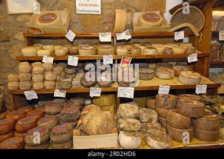 Pienza, fromage Pecorino, Val d'Orcia, Vallée d'Orcia, site classé au patrimoine mondial de l'UNESCO, province de Sienne, Toscane, Italie, Europe Banque D'Images