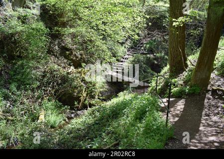 Chemin à travers la gorge de Wolves Banque D'Images
