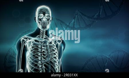 Brins d'ADN et rayons X du corps humain et squelette 3D rendu illustration avec espace de copie sur fond bleu. Anatomie, médecine, médecine et génétique Banque D'Images