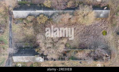 Vue de dessus des bâtiments abandonnés dans la forêt en hiver. Couleurs pastel. Banque D'Images