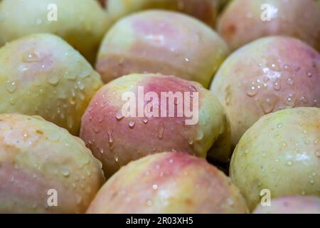 Les pommes jaunes crues sont vendues à un marché local de la nourriture de rue sur l'île de Zanzibar, Tanzanie, Afrique de l'est, de près. Pommes fraîches avec des gouttes d'eau Banque D'Images