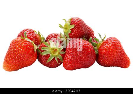 Fraises. Fraises juteuses et fraîches isolées sur fond blanc. Fraise. Banque D'Images