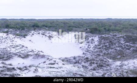 Sable dans les dunes de Schiermonnikoog a Wadden Island aux pays-Bas Banque D'Images