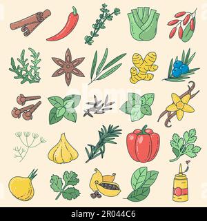 Herbes et épices Illustration de Vecteur