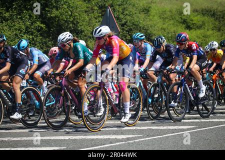 Tarrueza, Espagne, 06th mai 2023: Le cycliste de Team SD Worx, Femke Markus à cheval pendant la phase 6th de LaVuelta féminin par Carrefour 2023 entre Castro-Urdiales et Laredo, sur 06 mai 2023, à Tarrueza, Espagne . Credit: Alberto Brevers / Alay Live News Banque D'Images