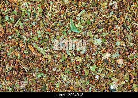 Fond de fleurs de linden séchées. Linden pour la préparation du thé est utilisé en médecine populaire. Banque D'Images