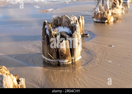 Poteau en bois dans le sable humide de plage. Vieux restes de brise-lames en bois Banque D'Images