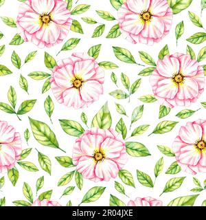 Motif aquarelle de fleurs de roses sauvages sur fond blanc pour cartes de création, invitations, produits de vacances, vêtements, textiles, fond d'écran Banque D'Images