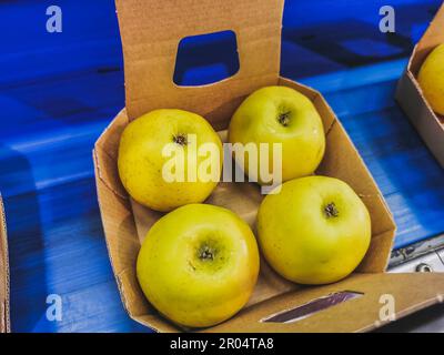 Boîtes de pommes dorées et délicieuses sur le tapis roulant prêtes à être emballées en usine Banque D'Images