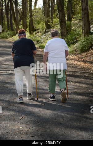 Deux femmes âgées marchent le long de la piste publique du Creeper de Virginie à Abingdon, en Virginie. Banque D'Images