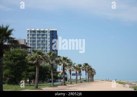 BATUMI, GÉORGIE - 10 JUIN 2022 : paysage urbain avec bâtiments modernes et palmiers près de la mer Banque D'Images