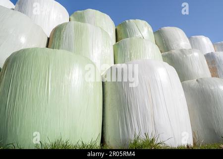 Balles de foin empilées et enveloppées de feuilles dans la campagne Banque D'Images