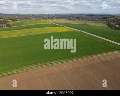 Vue aérienne d'un paysage avec des champs agricoles en pleine croissance et une route au printemps Banque D'Images