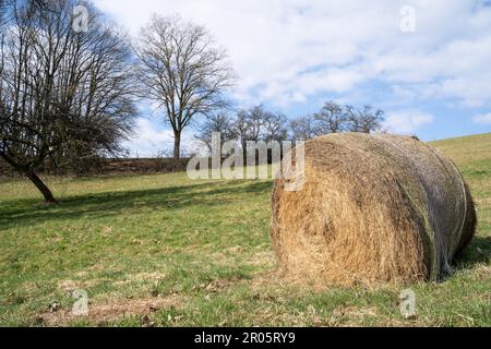 Balle de foin dans le pré par une journée ensoleillée au printemps Banque D'Images