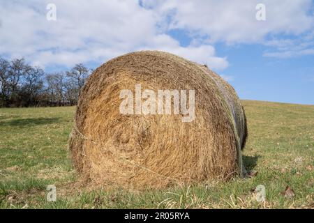 Balle de foin dans le pré par une journée ensoleillée au printemps Banque D'Images