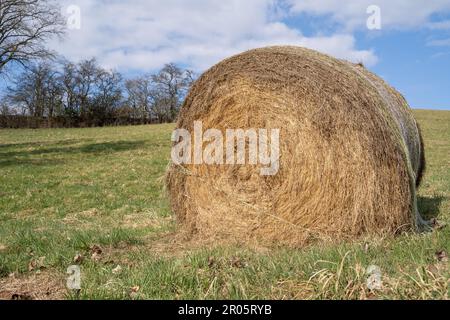 Balle de foin dans le pré par une journée ensoleillée au printemps Banque D'Images