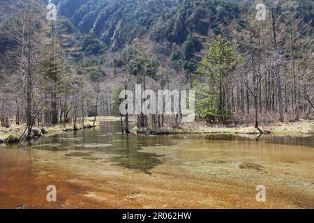 Étang Tashiro-ike à Kamikochi, Japon Banque D'Images