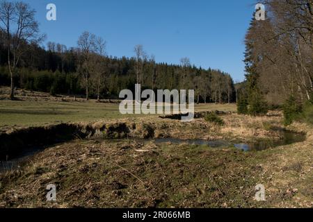 Vue sur le paysage dans la région allemande appelée Rothaargebirge dans la vallée de Truefte près de la ville de Bad Berleburg Banque D'Images