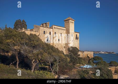 Un château pittoresque en bord de mer, avec des tours et des fortifications qui remontent à une époque révolue. Le ciel bleu clair au-dessus met en évidence l'arc étonnant Banque D'Images