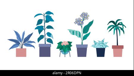 Un ensemble de fleurs en pots Illustration de Vecteur