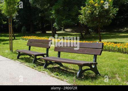 Deux bancs en bois vides le long de l'espace pieds dans le parc en été ensoleillé Banque D'Images