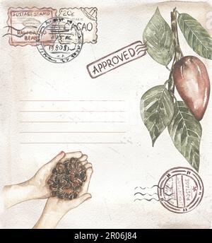 Papier d'époque aquarelle dessiné à la main avec branche de cacao et timbres, illustration de carte postale, feuilles de cacao et clipart de gousse Banque D'Images