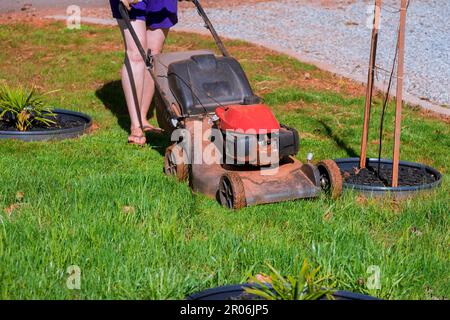 Elle utilise une tondeuse à gazon pour tondre une pelouse verte dans son jardin près de sa maison Banque D'Images