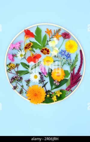 Fleurs d'été, fleurs sauvages et herbes utilisées dans la médecine naturelle des plantes. Alternative comestible nature concept floral dans forme ronde cadre en bois. Banque D'Images