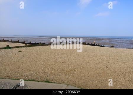 Vue sur la plage de galets de Whitstable sur la côte du Kent Banque D'Images