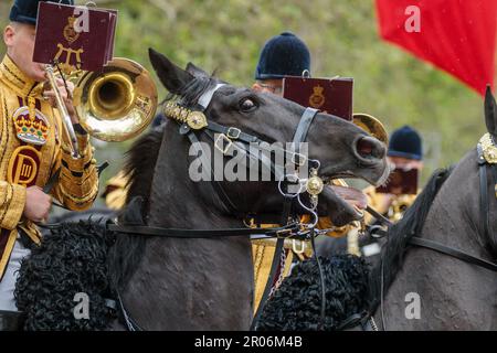 The Mall, Londres, Royaume-Uni. 6th mai 2023. Un cheval monté est surpris par quelque chose dans la foule sur le Mall pendant la procession pour le couronnement du roi Charles III Photo par Amanda Rose/Alamy Live News Banque D'Images