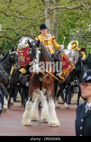 The Mall, Londres, Royaume-Uni. 6th mai 2023. Un cheval monté marche latéralement le long de la galerie marchande pendant la procession pour le couronnement du roi Charles III Photo par Amanda Rose/Alamy Live News Banque D'Images